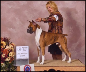 Ch Cimarron's Lord Of the Ring